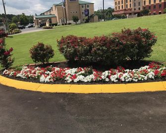 Lotus Inn and Suites Nashville - Nashville - Outdoor view