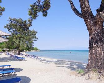 Rachoni Resort - Thasos - Beach