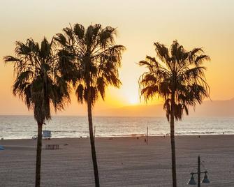 Stay Open Venice Beach - Los Angeles - Beach