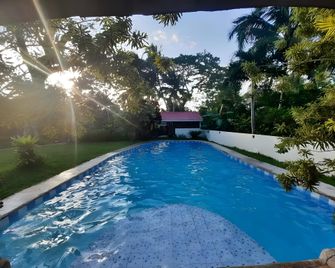 forest garden - Sevilla - Pool