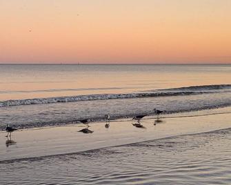 Steps from the beach - Surfside Beach - Beach