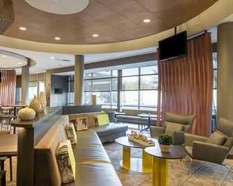 SpringHill Suites by Marriott Tampa North/I-75 Tampa Palms - Tampa - Area lounge