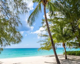 White Sands 16 - Two Bedroom Unit with spectacular views of Seven Mile Beach! - West Bay - Playa