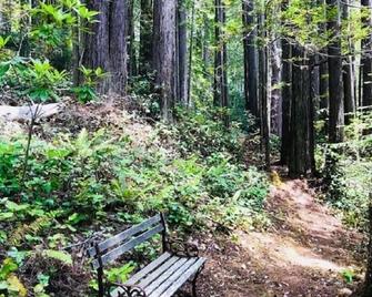 Romantic, Artists Private Forest Suite, 5 Acres Redwoods, Trails, Mendo 2 MI - Mendocino - Outdoor view