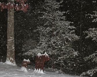 Almost Heavenin Blairsville, Ga - Young Harris - Property amenity