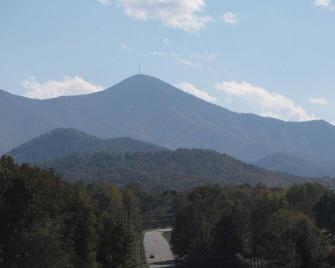 Apple Blossom in Beautiful Western North Carolina with WiFi - Candler - Outdoors view