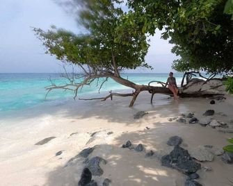 Wake Up to Garden Views and Crisp Island Air' - Kudahuvadhoo - Playa