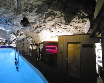 atypique house with spa troglodyte - Châteaudun