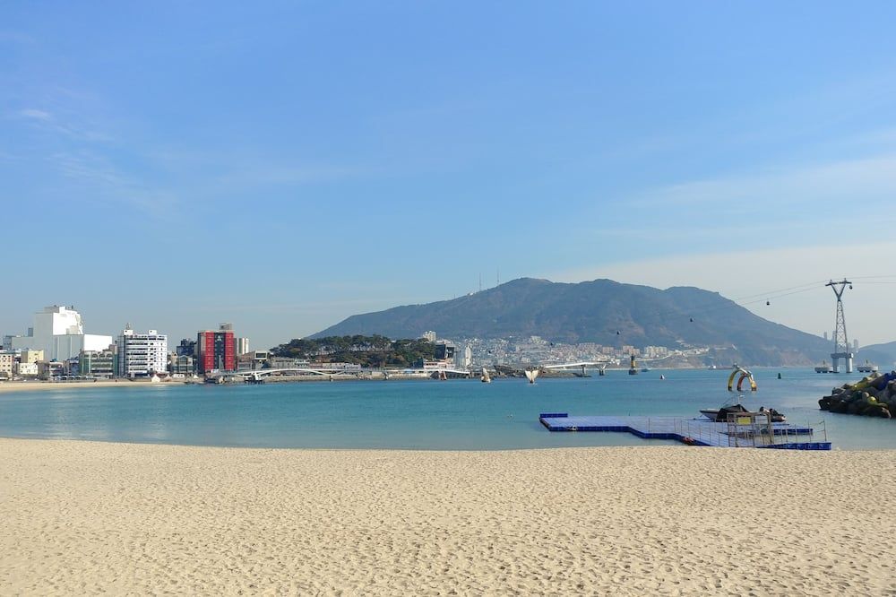 براون دوت سونجدو