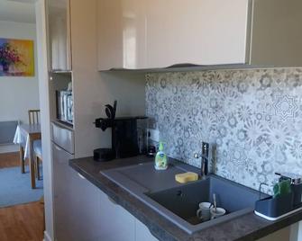 T2 Apartment In The Heart Of Green Country - Vic-sur-Cère - Cuisine