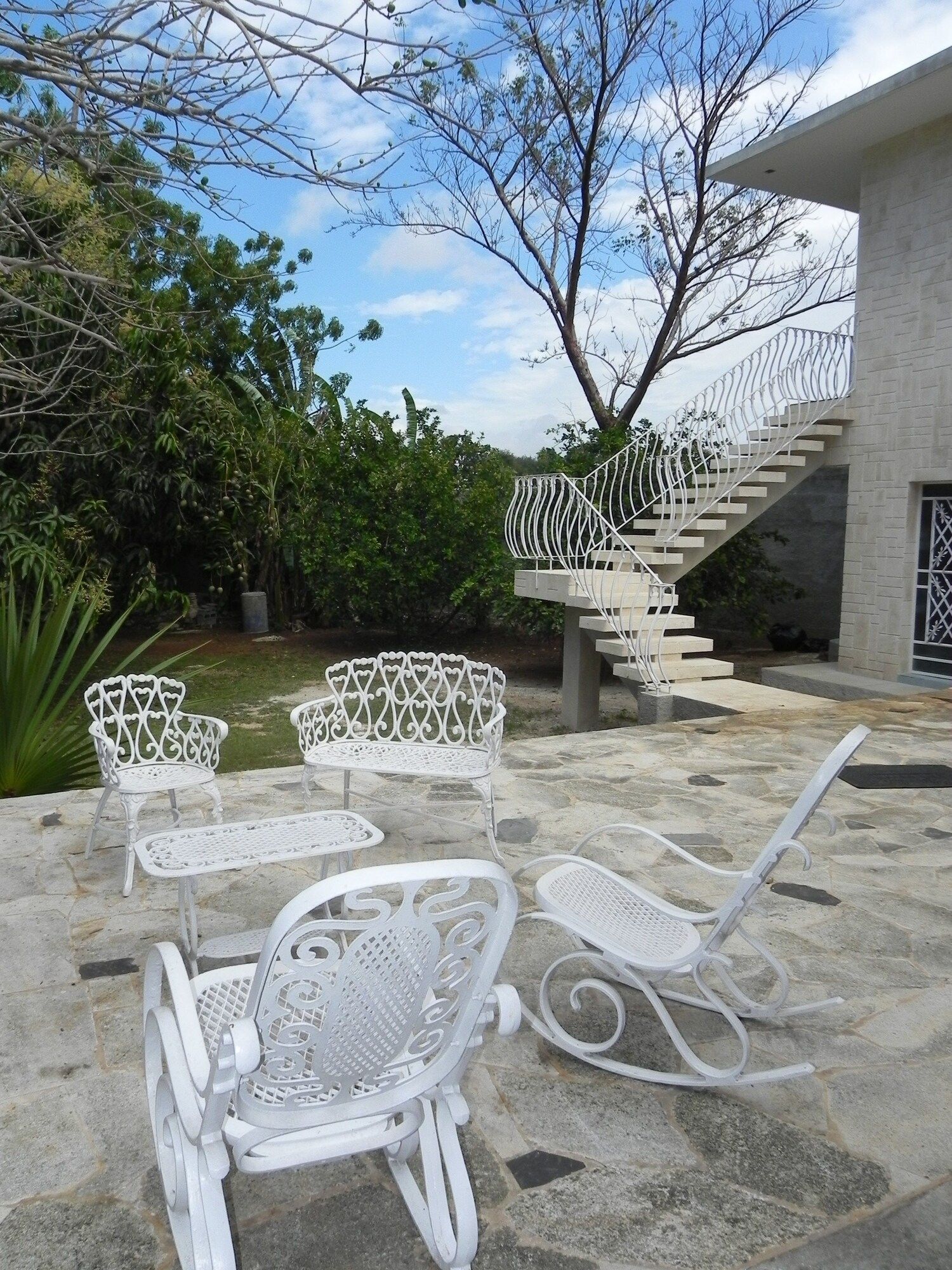 Hostal Doña Amalia Cuba - Havana - פטיו