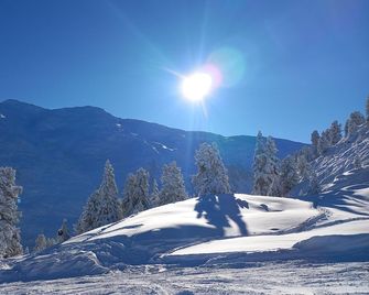 Your dream vacation in the Bergblick apartment in Uderns. You've come to the right place! - Uderns - Prestation de l’hébergement