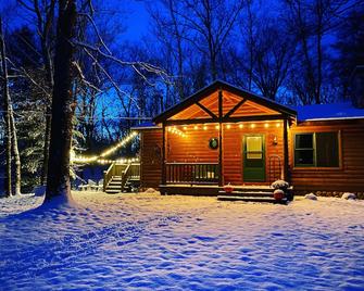 North Country Cabin - Secluded cabin on 20 acres - Manistee - Building
