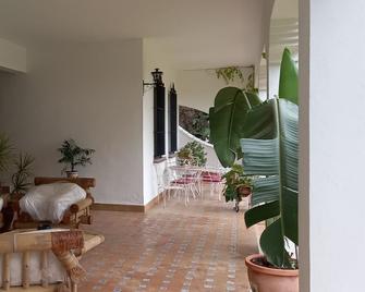 El jardín del botánico - Hinojos - Patio