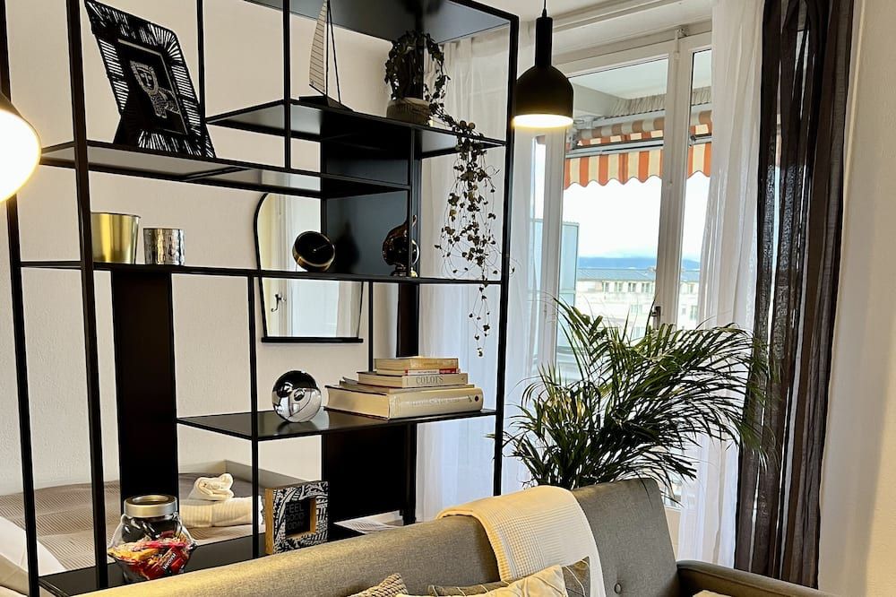 Beautiful Park View apartment next to UN - جنيف - غرفة معيشة