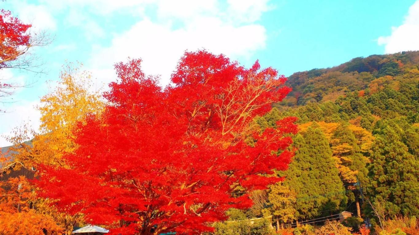 農家民宿　Homey Inn　えんや