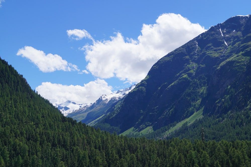 Hotel Schweizerhof Pontresina - Pontresina - Außenansicht