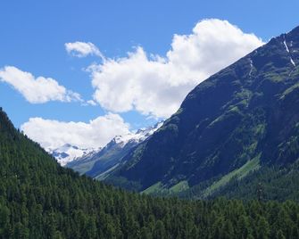 Hotel Schweizerhof Pontresina - Pontresina - Outdoor view