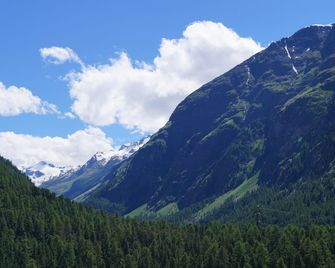 Hotel Schweizerhof Pontresina - Pontresina - Außenansicht