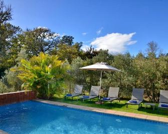 Ladybird Boutique Hotel - Stellenbosch - Pool