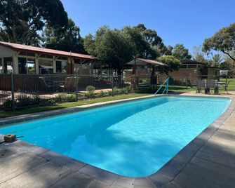 Young Caravan and Tourist Park - Young - Piscina