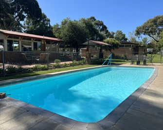 Young Caravan and Tourist Park - Young - Piscina