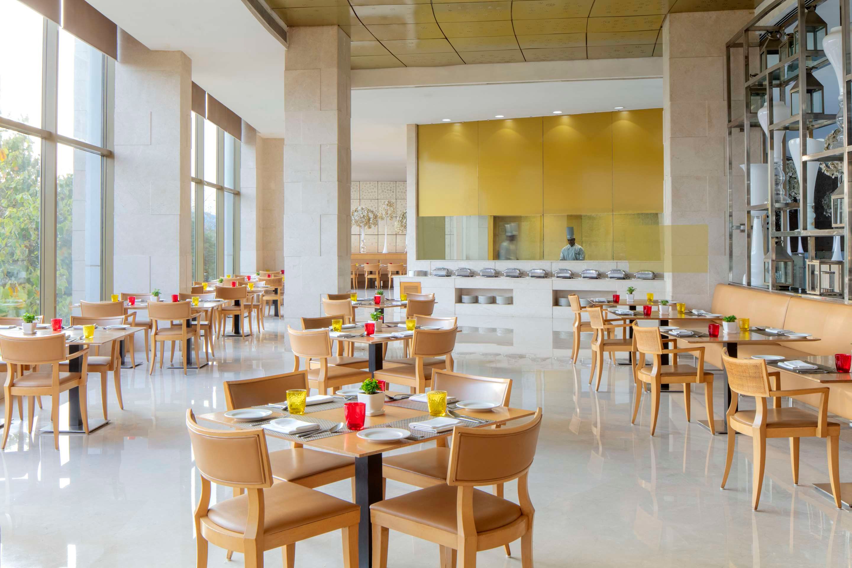 Radisson Blu New Delhi Dwarka