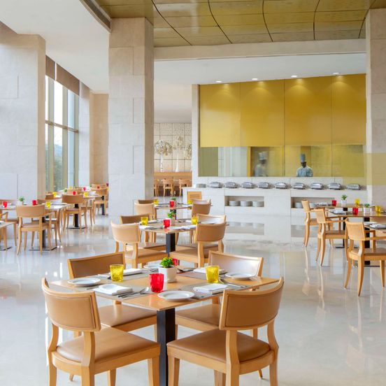 Radisson Blu New Delhi Dwarka image 1