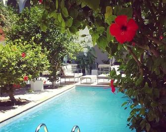 Hotel Arisha - Houmt Souk - Piscine