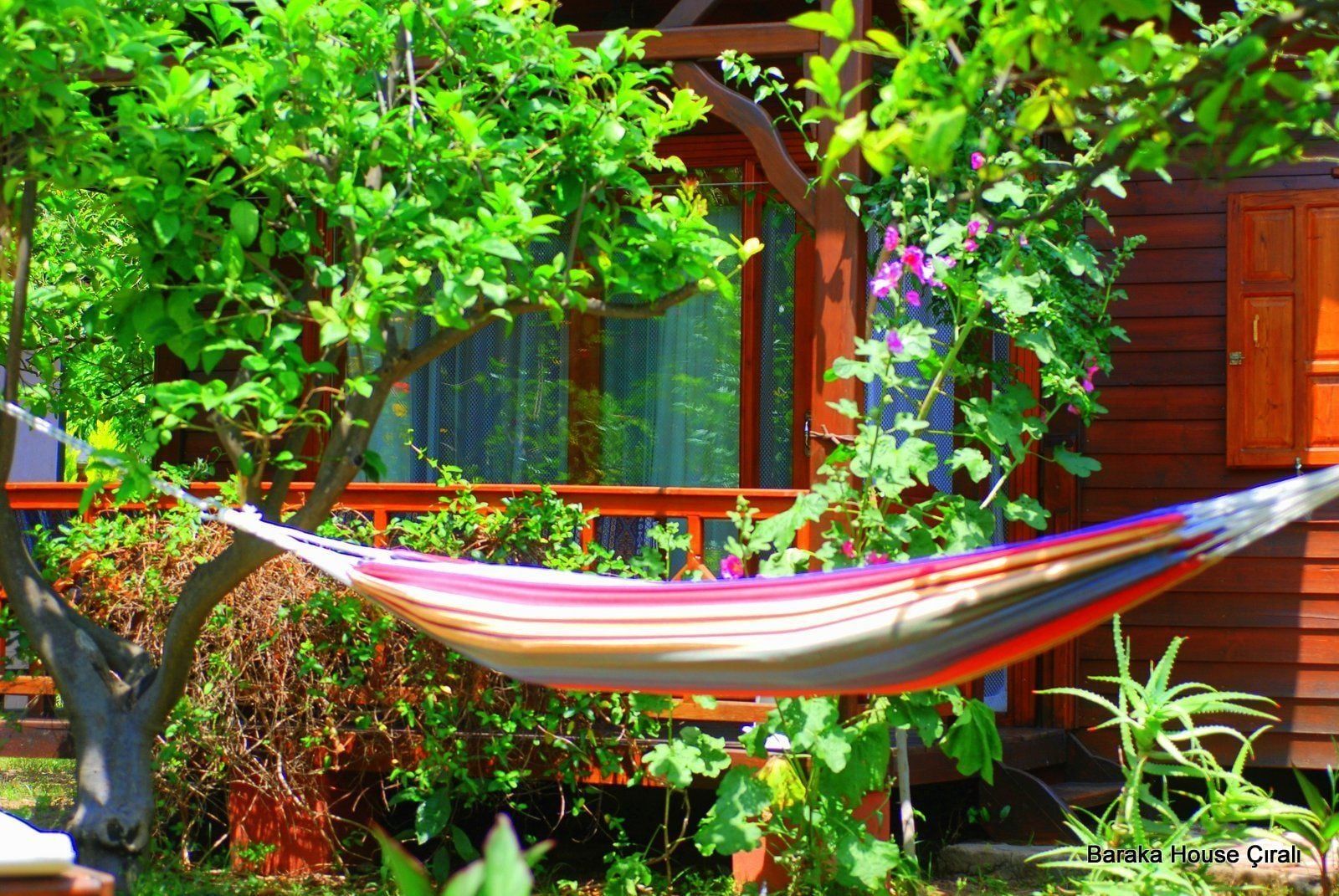 باراكا هاوس سيرالي