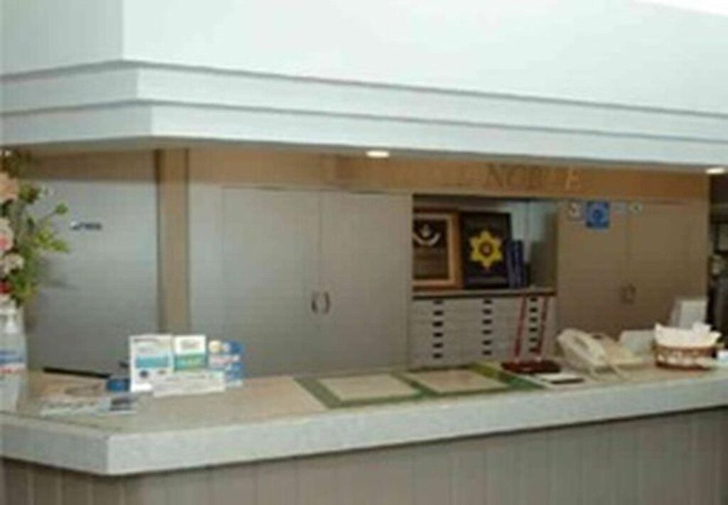 Nishi Shinjuku Green Hotel - טוקיו - דלפק קבלה