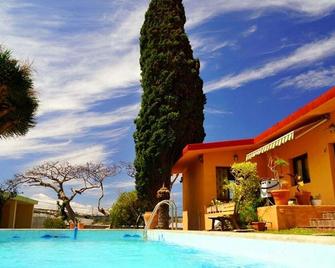 Lagarto Backpackers Hostel - Tejina - Pool