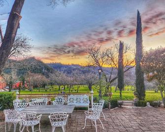 Cozy 'love Shack' With Kitchen, Pool And Infinity Hot Tub - Near Calistoga - Calistoga - Patio