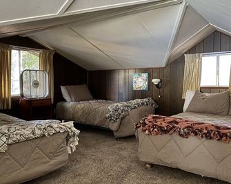 Jacobsmeyer Cabin at Williams Lake - Salmon - Schlafzimmer