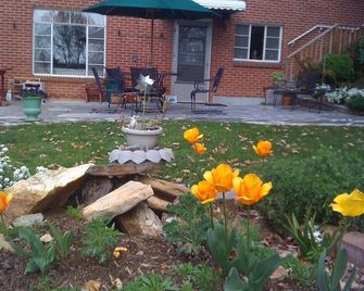 Mid Century Modern Basement Apartment - Asheville - Patio