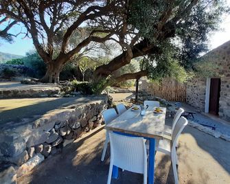 Old and cozy typical stone house with terrace under the olive trees - Sant'Antioco - Patio
