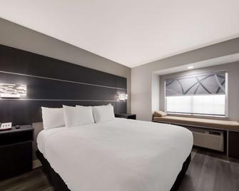 Best Western SeaWorld San Antonio - San Antonio - Bedroom