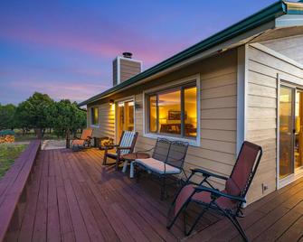 1770 Ponderosa Road - Ridgway - Patio