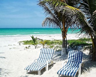 Room-antigua Lodge, Away From the Crowds - El Cuyo - Playa
