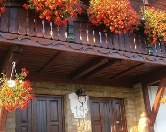 Pensiunea Veronica - Câmpulung Moldovenesc