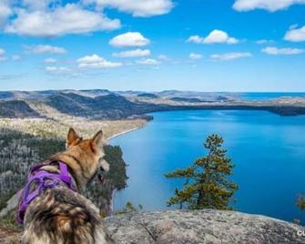 Incredible Guest Suite - Unique Off-Grid Lodging Experience with Sled Dogs in Minnesota - Grand Marais