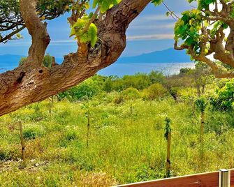 Poseidon Apartments - Kissamos - Widok na zewnątrz