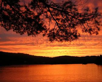 Charming lakefront cottage with sandy beach on a large private wooded lot - Milton - Outdoors view