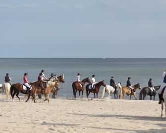 Apartment Zwischen Wald und Wellen - Kellenhusen - Strand