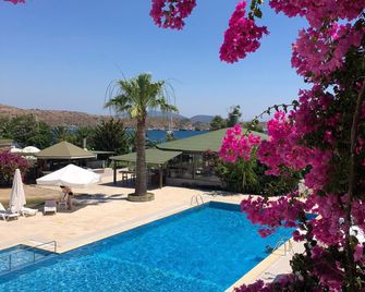 Gumbet Cove Hotel - Bodrum - Pool