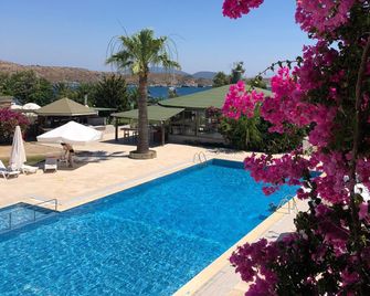 Gümbet Cove Hotel - בודרום - בריכה