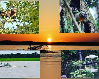 Jungle Wolf Expeditions - Nauta - Vista del exterior