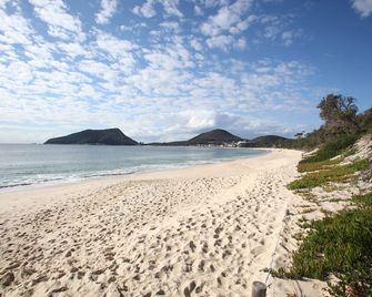 Beachfront Shoal Bay - Nelson Bay - Beach