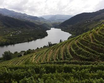 Casa de Cambres - Lamego - Venkovní prostory