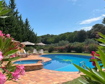 Gîte Jujubier - Suze-la-Rousse - Piscine